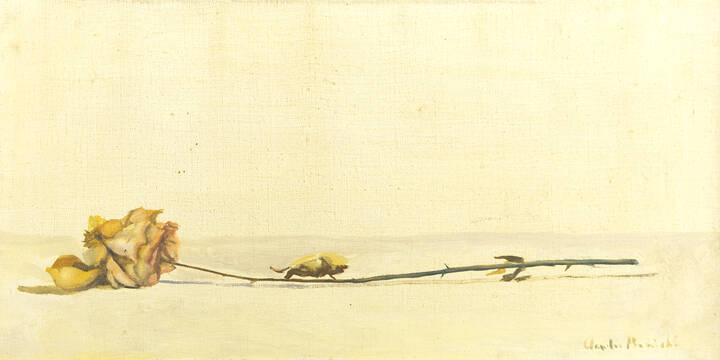 CLAUDIO BONICHI - 'Rosa'