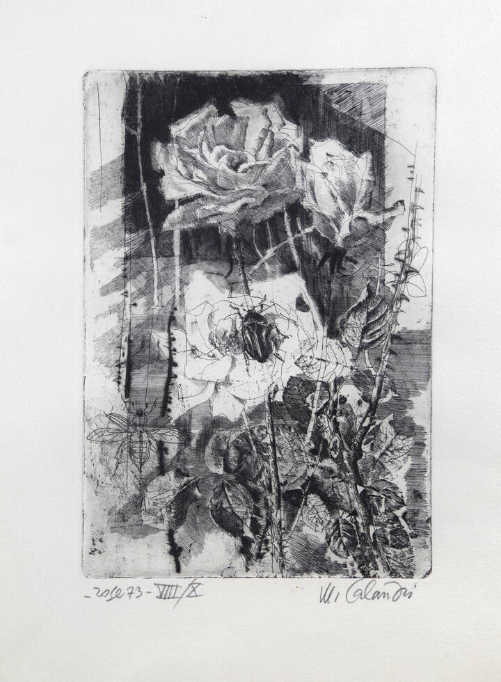 MARIO CALANDRI - 'Rose' 1973