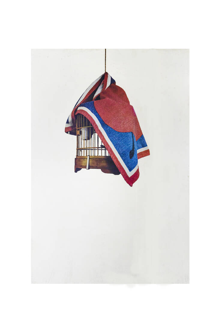 MICHELANGELO PISTOLETTO - 'La gabbia'