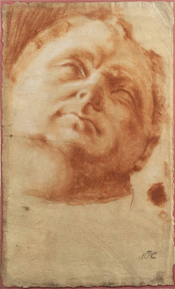 PITTORE ANONIMO - 'Volto virile'