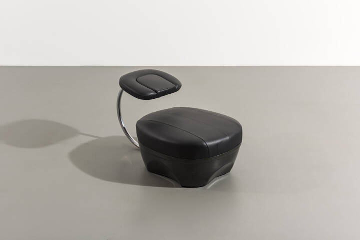 ACHILLE CASTIGLIONI - Primate