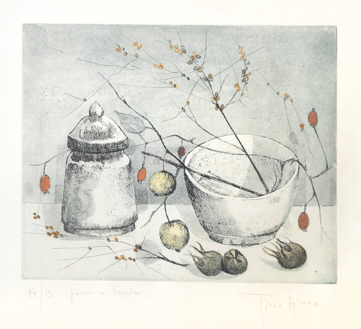 TINO AIME - 'Pocio e bacche'