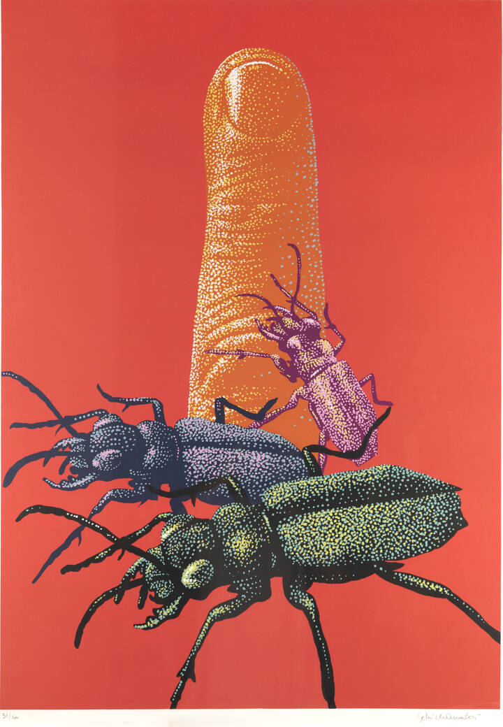GABRIELE AMADORI - 'Scarabei'