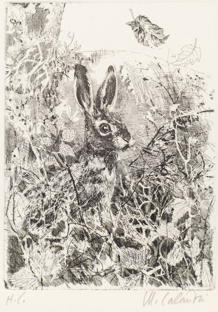 MARIO CALANDRI - 'Coniglio'