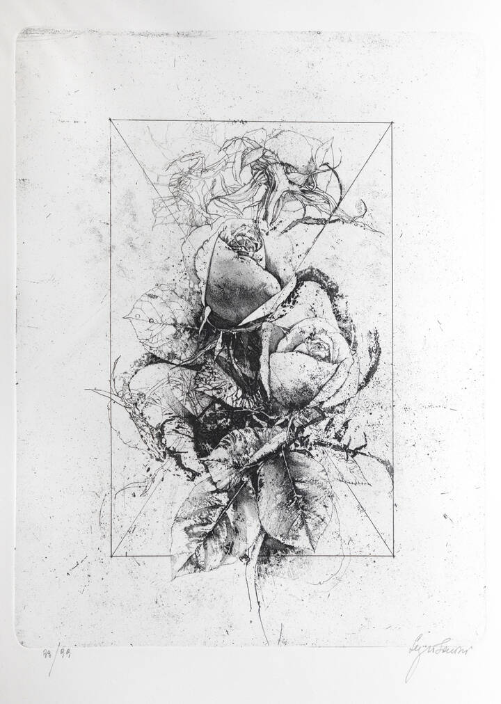 SERGIO SARONI - 'Rose'