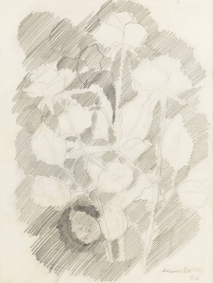 ENNIO MORLOTTI - 'Fiori'1960