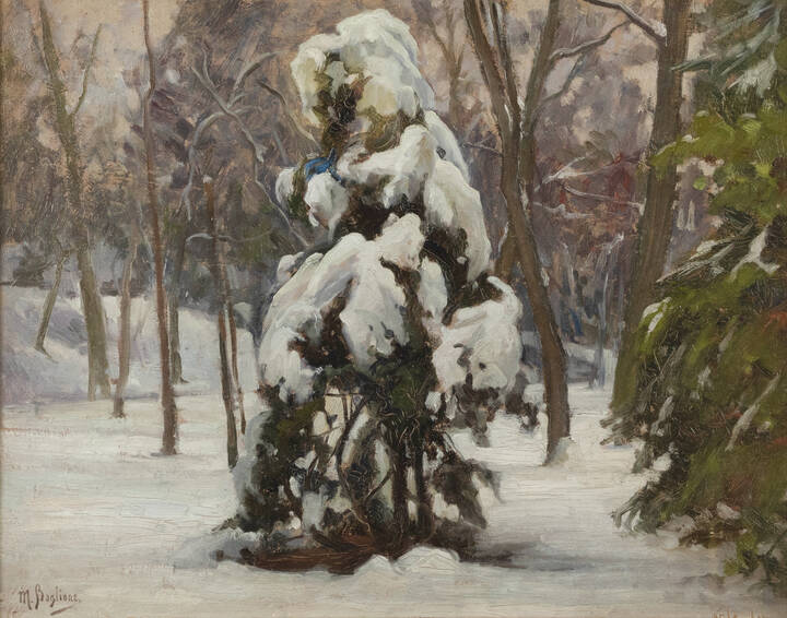 MARCELLO BOGLIONE - 'Nevicata all'orto botanico di Torino'