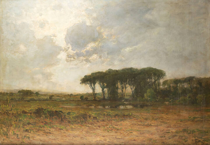 CARLO FOLLINI - 'Pineta di Viareggio'