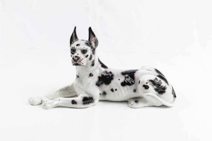 ANTONIO RONZAN - 'Alano in posa'