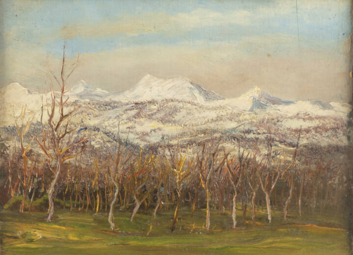 ROMOLO GARRONE - 'Pinerolo Miradolo' 29/12/1942