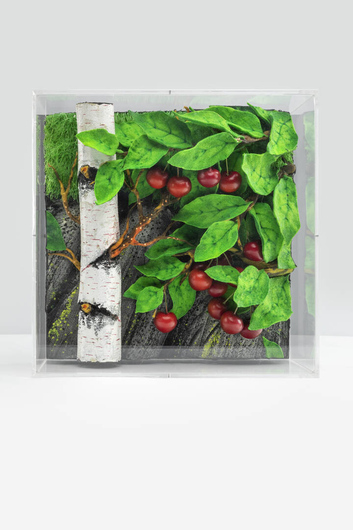 PIERO GILARDI - 'Ciliegie di montagna' 