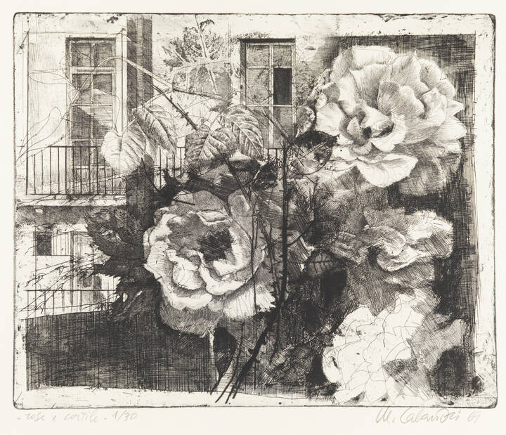 MARIO CALANDRI - 'Rose e Cortile' 1969