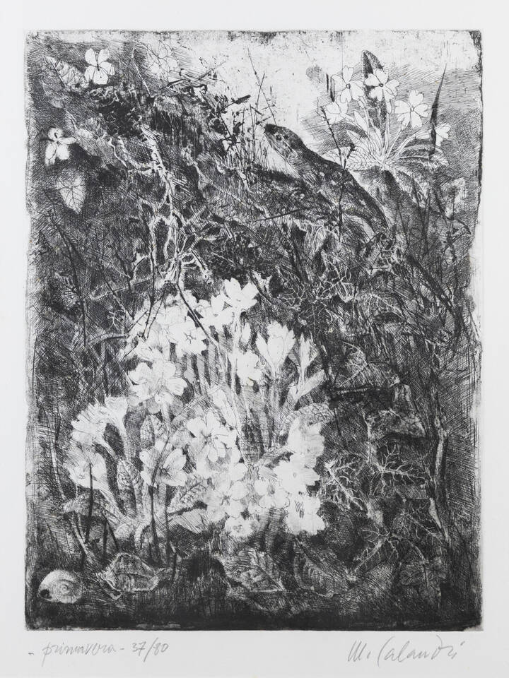 MARIO CALANDRI - 'Primavera'