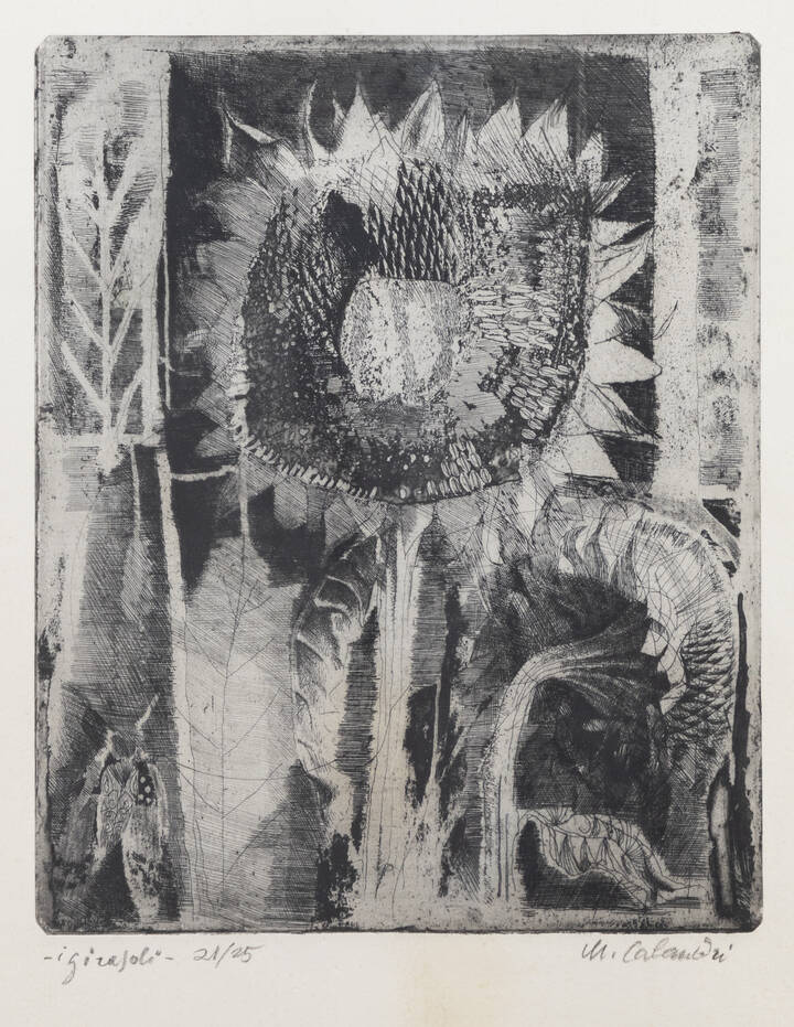 MARIO CALANDRI - 'I girasoli' 