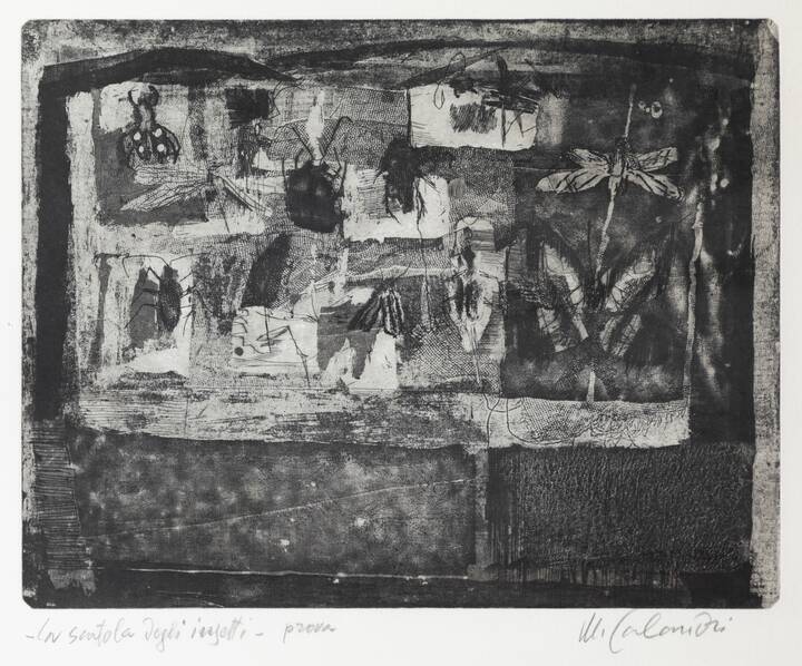 MARIO CALANDRI - 'La scatola degli insetti' 1962