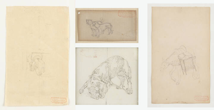 GIOVANNI BATTISTA QUADRONE - Lotto di quattro opere:<br>A. 'Cane'<br>B. 'Asinello'<br>C. 'Segugio sotto la sedia'<br>D. 'Cani che abbaiano'