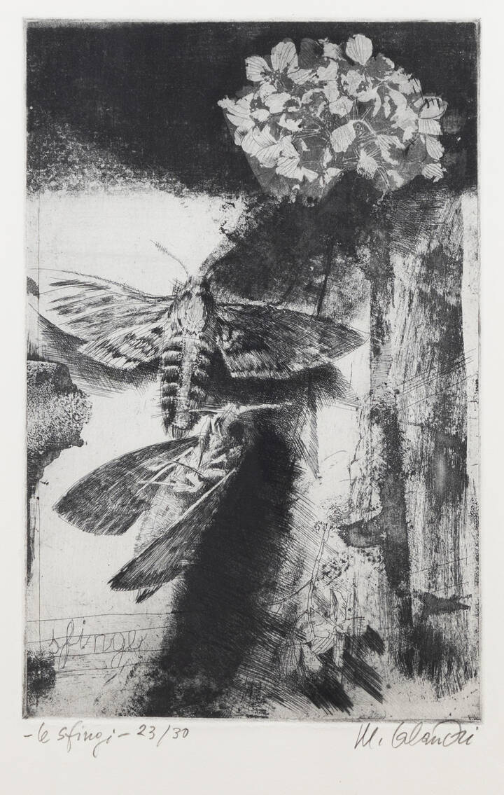 MARIO CALANDRI - 'Le sfingi'