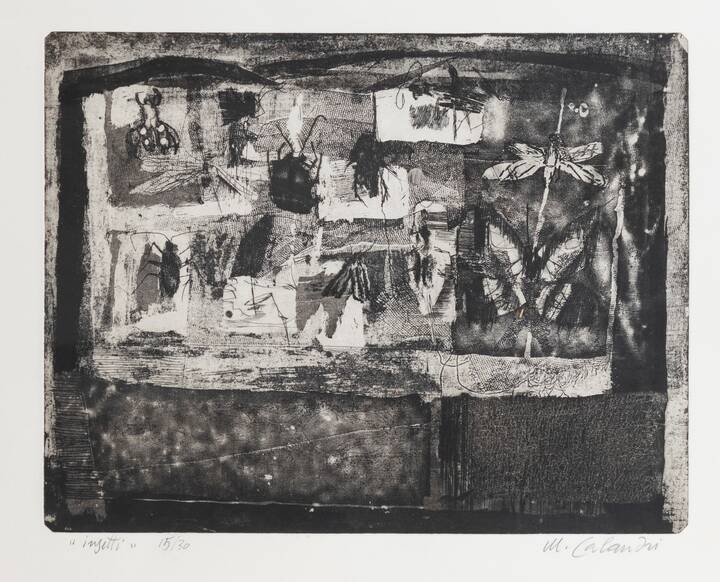 MARIO CALANDRI - 'Insetti (La scatola degli insetti)' 1962