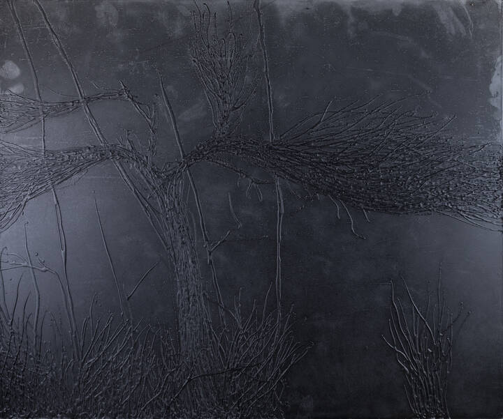 FRANCESCO SENA - 'Senza titolo'