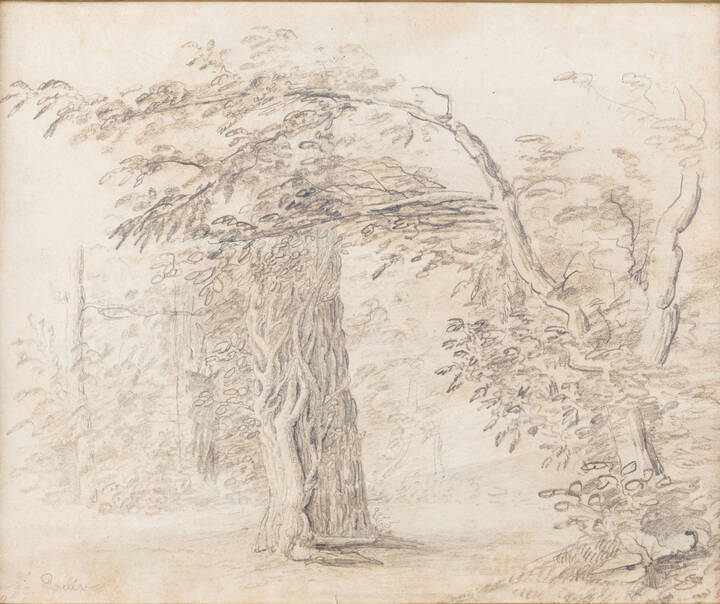 PITTORE NON IDENTIFICATO - 'Giardino'