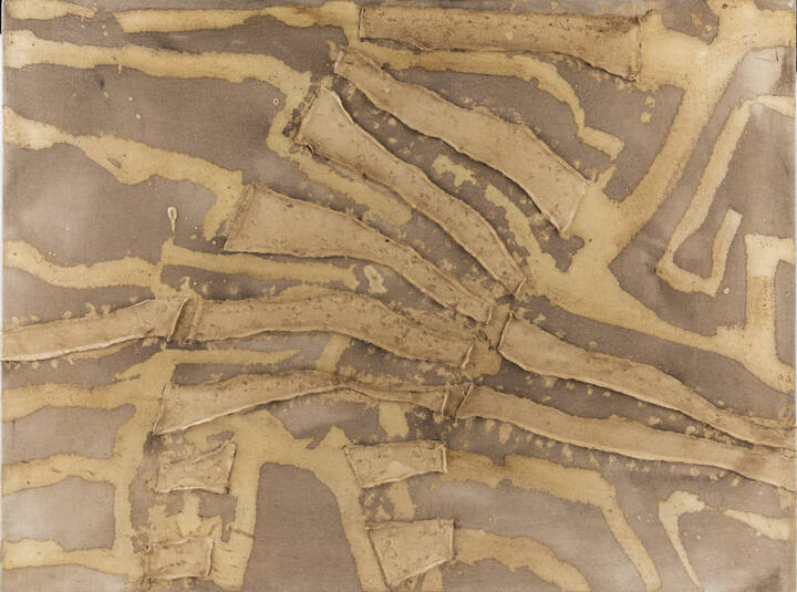 FRANCA PISANI - 'Gli enigmi nascosti' 2010