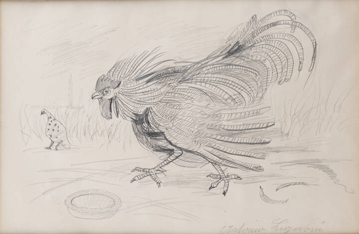 ANTONIO LIGABUE - 'Gallo' 1952-1962
