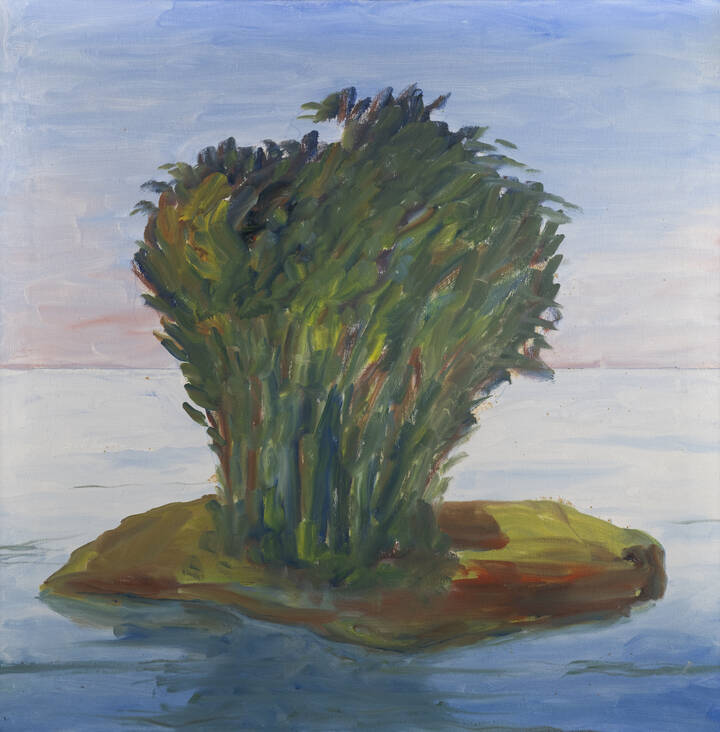 ALBINO GALVANO - 'L'isolotto verde' 23/08/1984