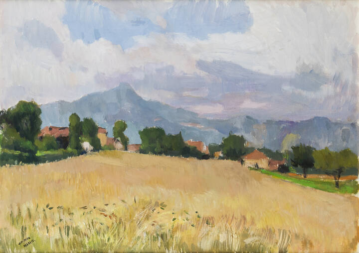 TEONESTO DEABATE - 'Campo di grano'