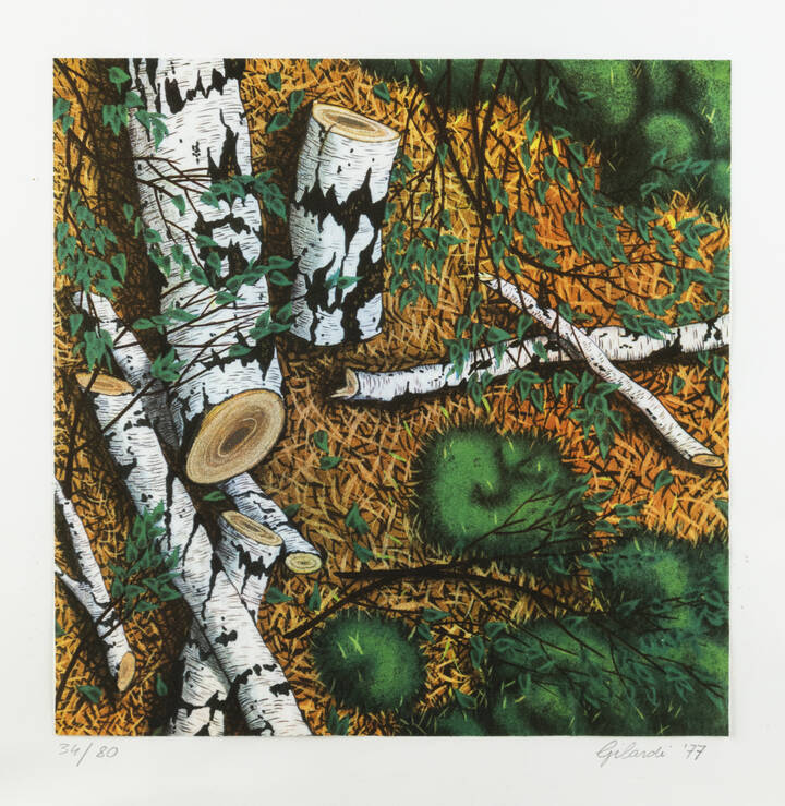 PIERO GILARDI - 'Le betulle' 1977