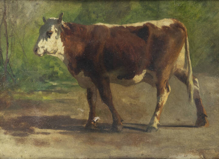 ERNESTO RAYPER - 'Mucca- Studio dal vero'