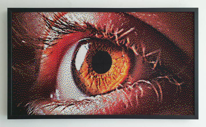 QUERCETTI & C. SPA - Franco Caniatti - 'L'occhio' 24 novembre 2017 - Opera Pixel Art