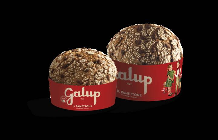 GALUP - Panettone Gran Galup Tradizionale da 10 kg, Cappelliera storica contenitore con cuscino