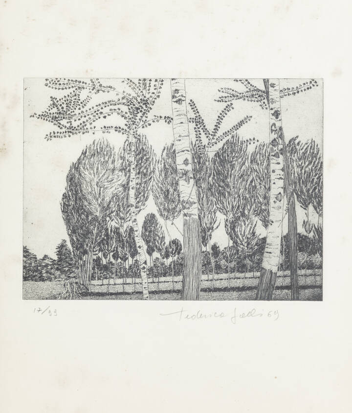 FEDERICA GALLI - 'Pioppi' 1969