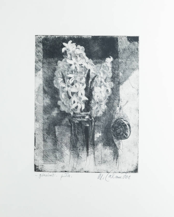 MARIO CALANDRI - 'Giacinti' 1984