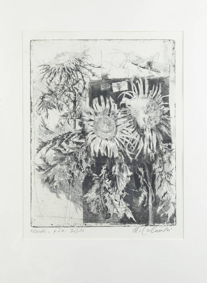 MARIO CALANDRI - 'Cardi' 1975