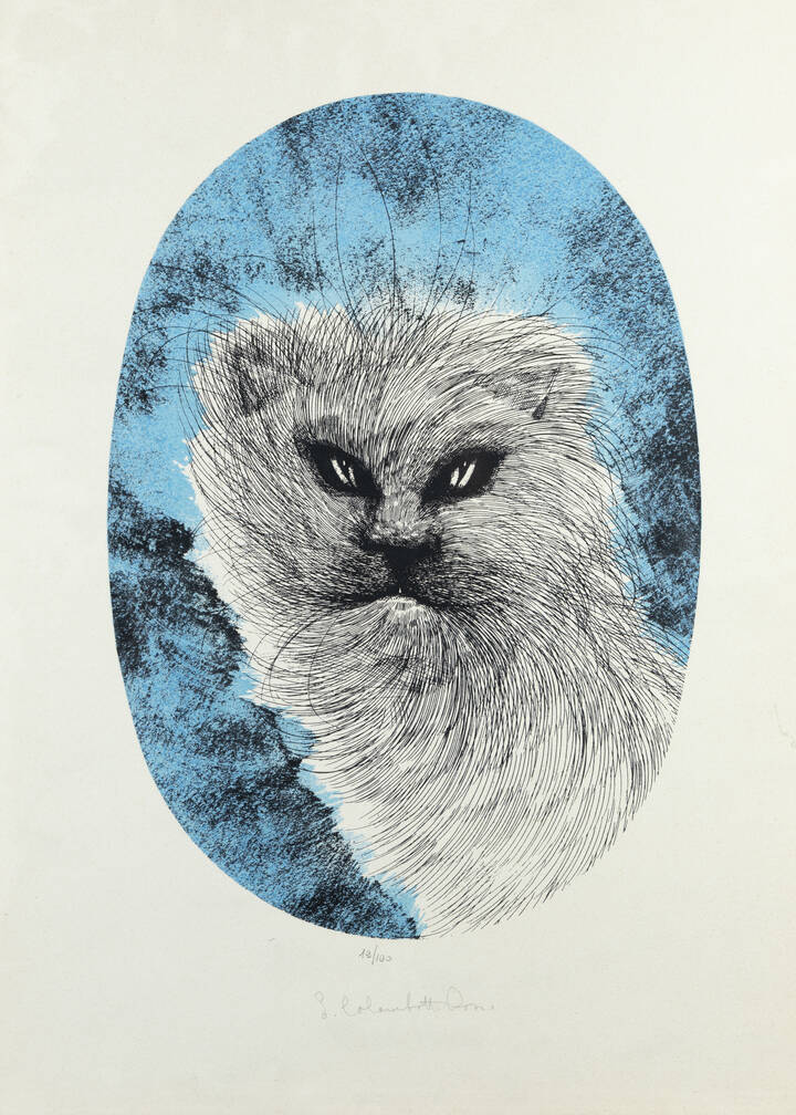ENRICO COLOMBOTTO ROSSO - 'Gatto'