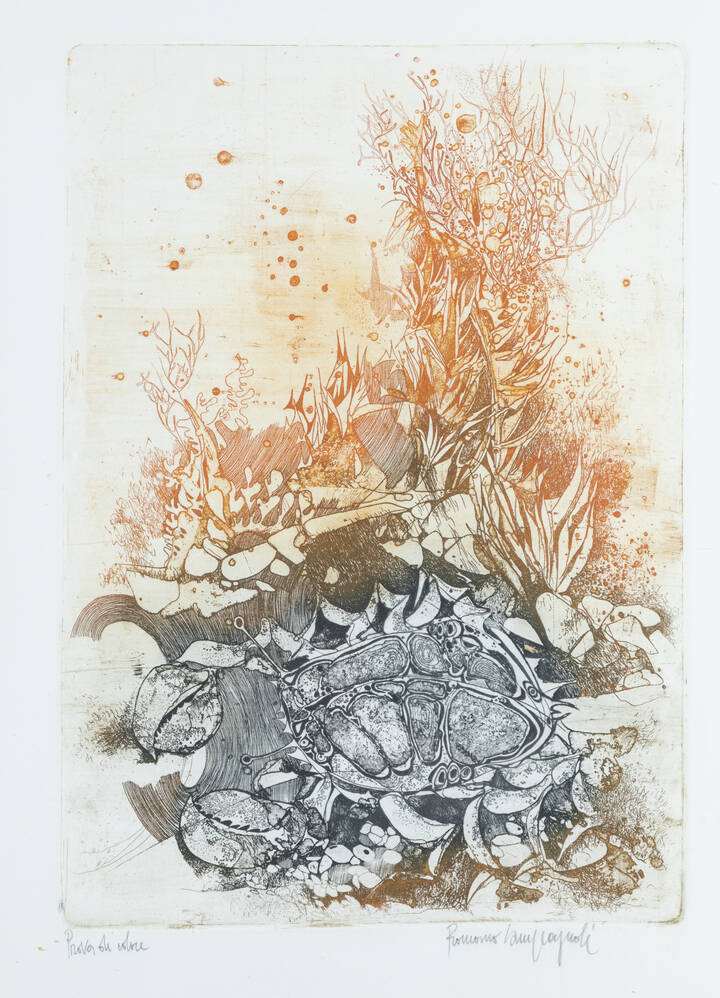 ROMANO CAMPAGNOLI - 'Granchio sul fondo'