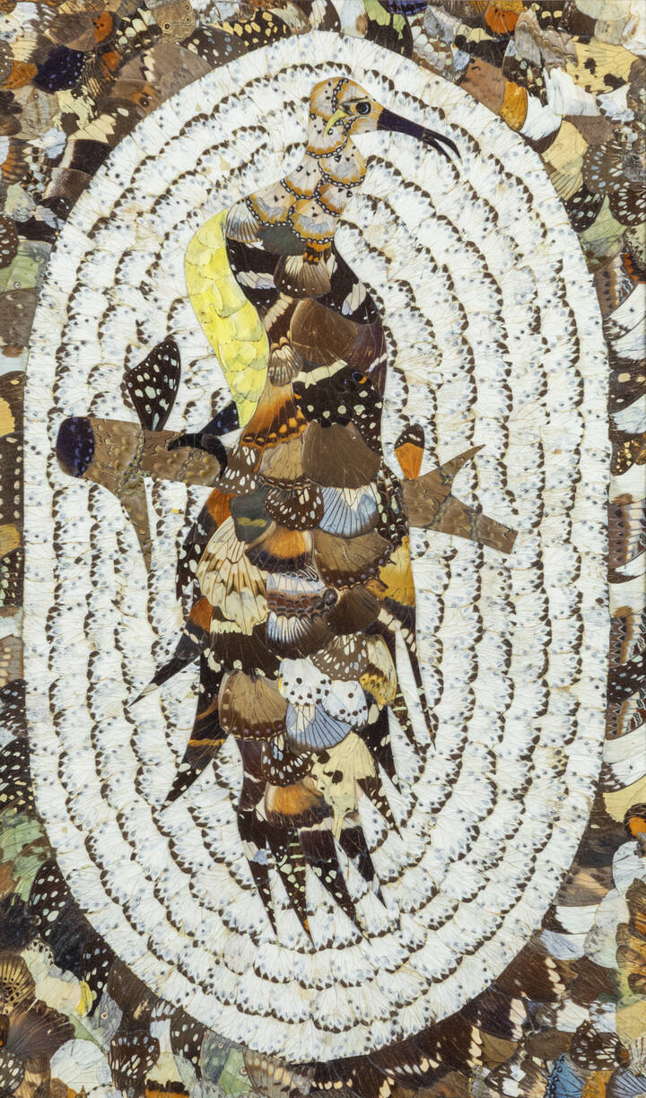 PITTORE ANONIMO - 'Uccello' XX secolo