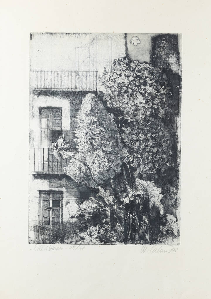 MARIO CALANDRI - 'Lillà bianco' 1970