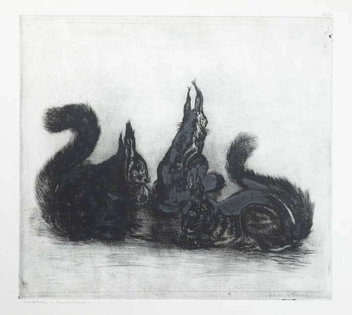 FELICE VELLAN - 'Scoiattoli'