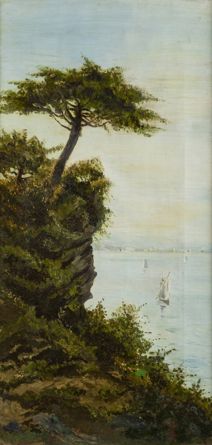 GIACINTO BO - 'Pino sulla scogliera'