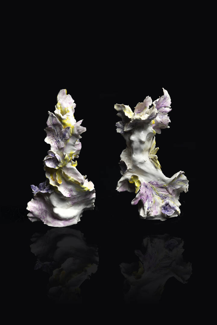 PIERO CERATO - a) 'Ninfa'<br>b) 'Tronco fiorito '