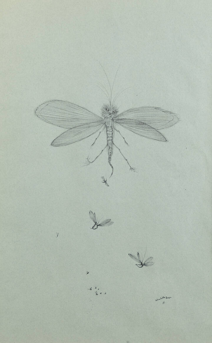 ENRICO COLOMBOTTO ROSSO - 'Libellula' 1951