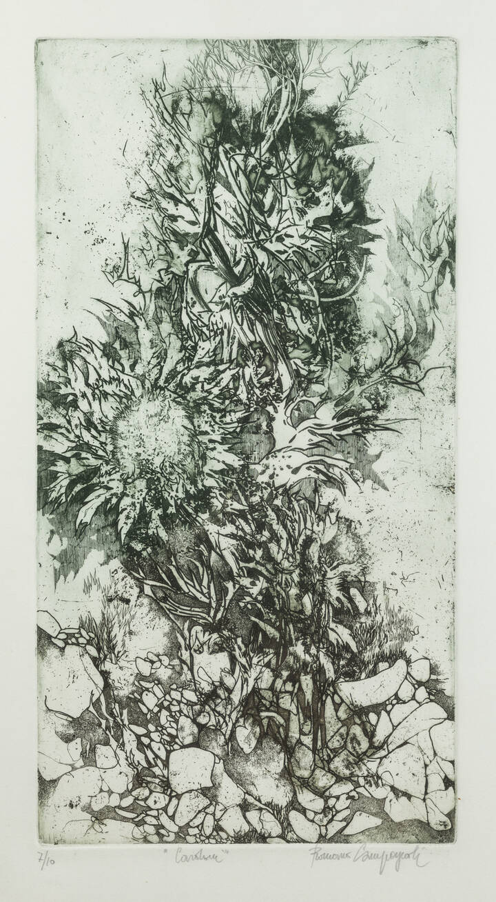 ROMANO CAMPAGNOLI - 'Cardi'