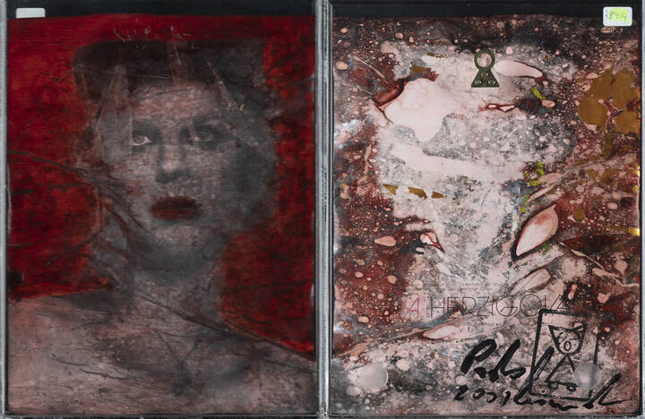 PAOLO LEONARDO - 'Senza titolo (volto femminile)' 2001