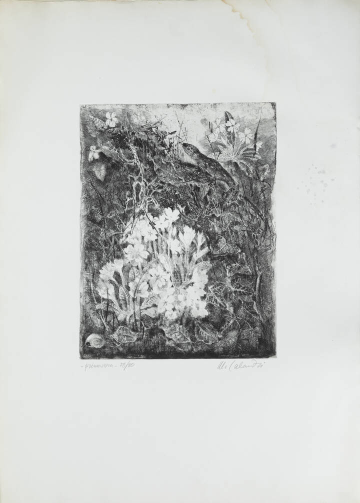 MARIO CALANDRI - 'Primavera' 1983