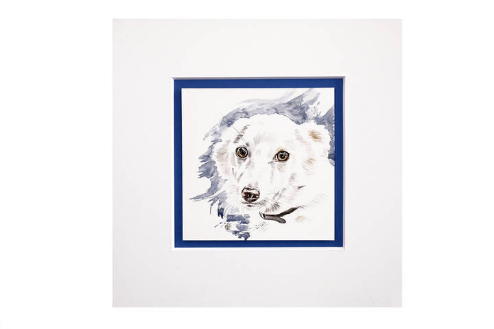 FRANCESCA SEMERARO - 'Sguardi in canile' 2019 