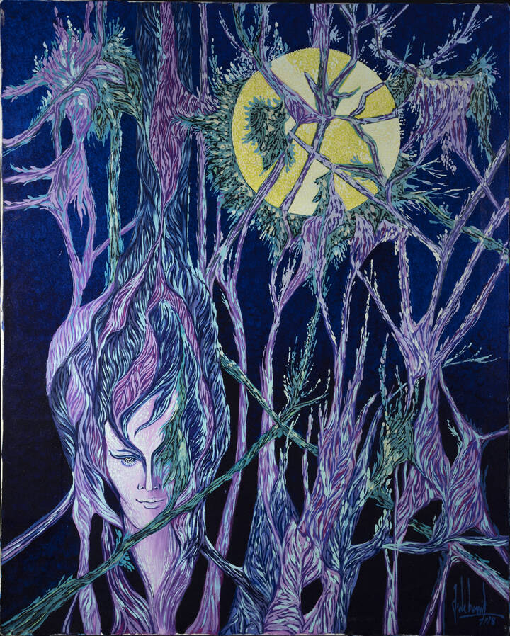 GUIDO DE BONIS - 'Una notte d'inverno' 1978