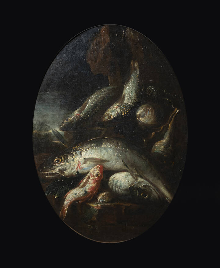 FELICE BOSELLI - 'Pesci e conchiglie' 1710 ca