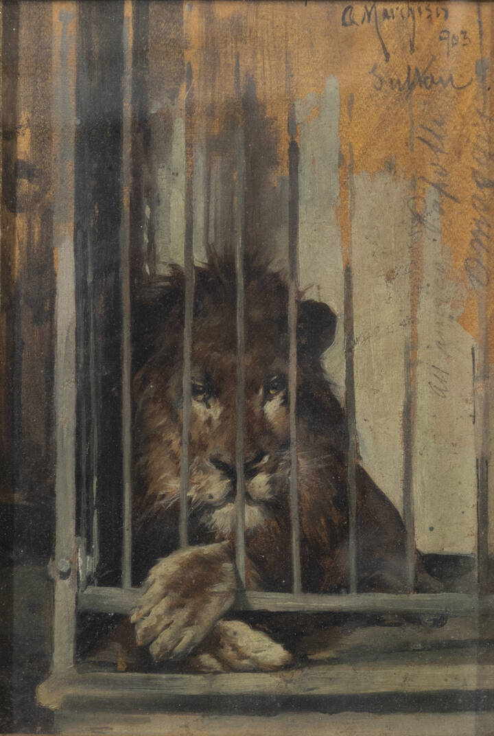 ANDREA MARCHISIO - 'Sultan - Nouma-Hava dal vero' 1903